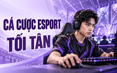 Cá cược Esport H13