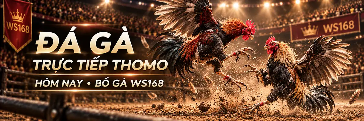Trực Tiếp Đá Gà Thomo H13 PC