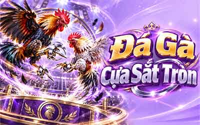 Đá gà Thomo H13