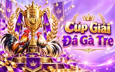 Đá gà cựa dao H13