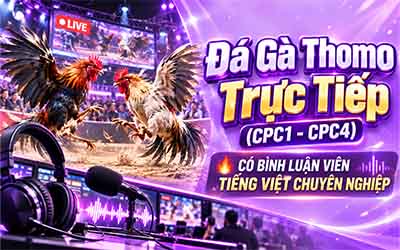 Đá gà cựa sắt tròn H13