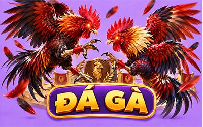 Đá Gà H13